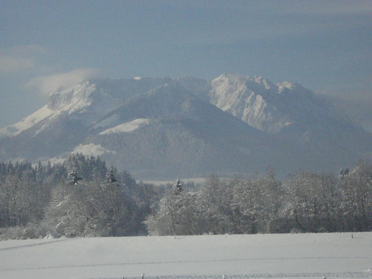 Appartamento Haus Margit Kössen Esterno foto